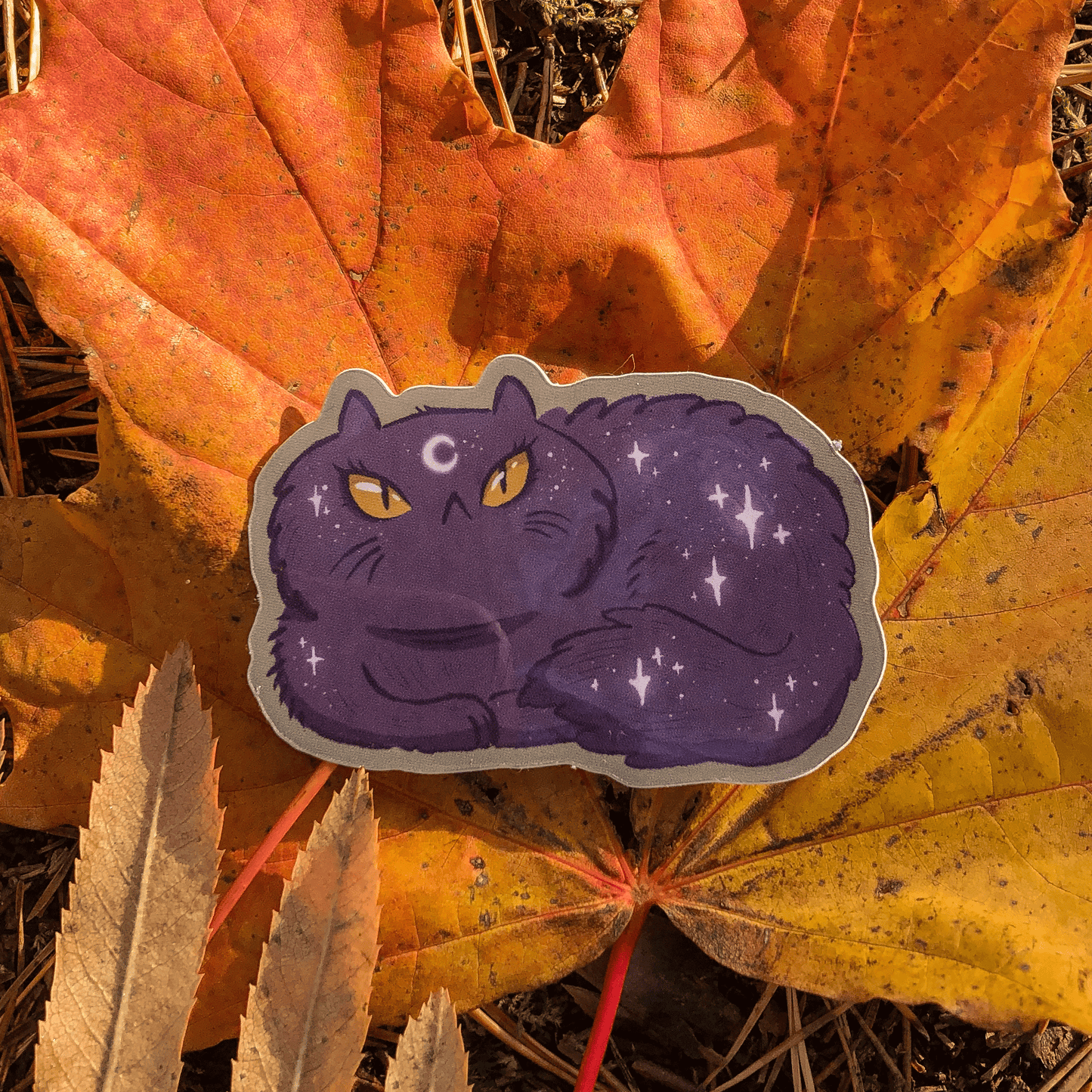 Witchy Critters ✧ Sticker Bundle