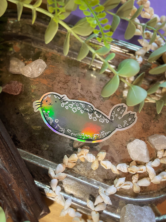 Saimaa Ringed Seal ✧ Vinyl Sticker