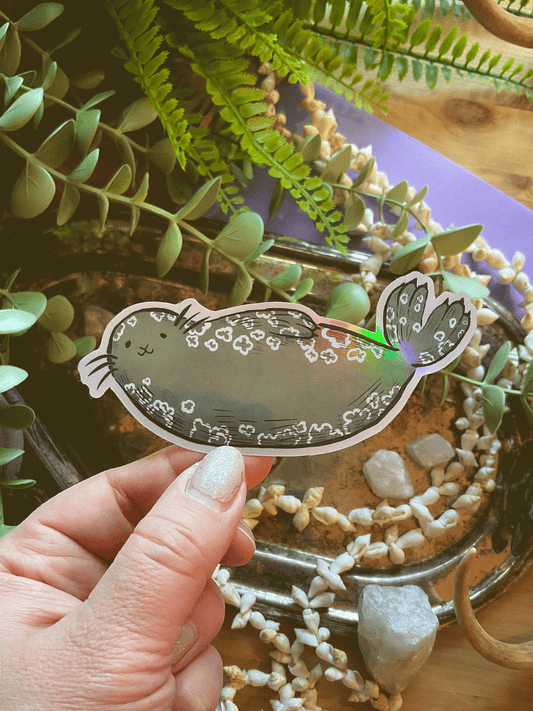 Saimaa Ringed Seal ✧ Vinyl Sticker