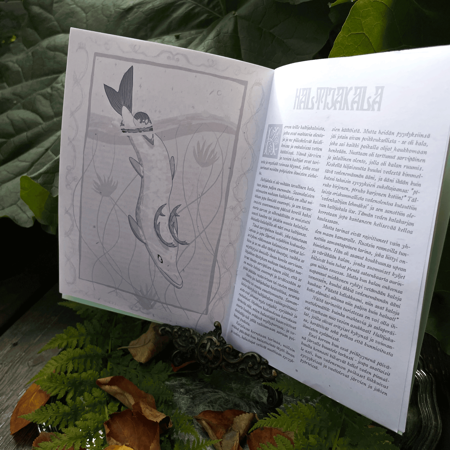 Vetten Väkeä ✧ Zine
