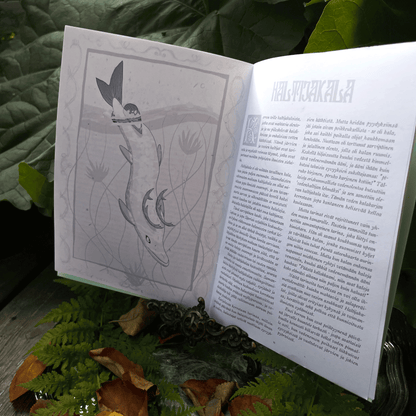 Vetten Väkeä ✧ Zine